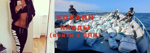 трава Осинники
