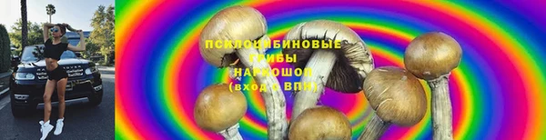 индика Верхний Тагил