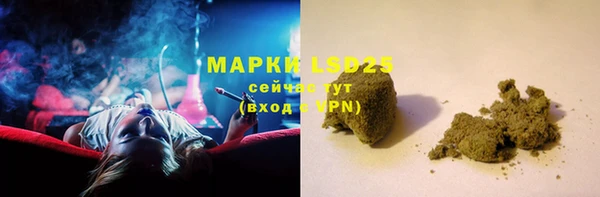 трава Осинники