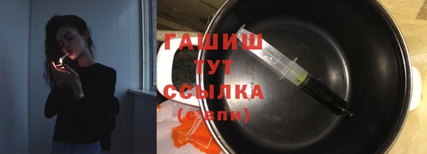 индика Нягань