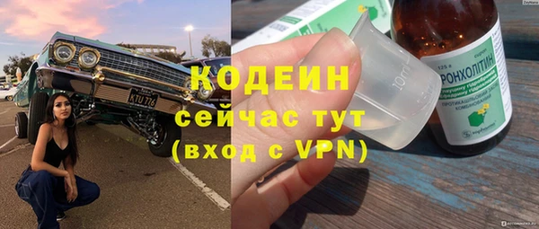 трава Осинники