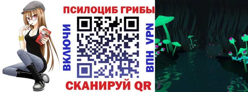 где купить наркотик Губкинский Галлюциногенные грибы GOLDEN TEACHER