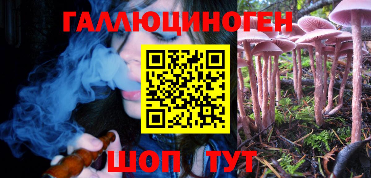 Галлюциногенные грибы Psilocybe Губкинский