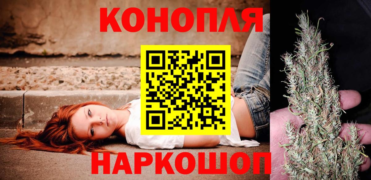 Каннабис сатива Губкинский